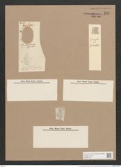 Navicula forcipata Grev. (de-Toni-Nr.: Genus 1, Species 332) Zeichnungen Sammlung Grunow Nr. 761 (NHMW-BOT-W0367165)